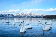 Tourist destination images of Lake Kussharo(1)