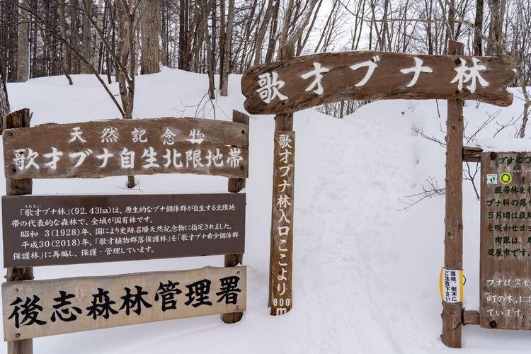 Tourist destination images of Utasai Buna-rin Parking Area(2)