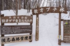 Tourist destination images of Utasai Buna-rin Parking Area(2)