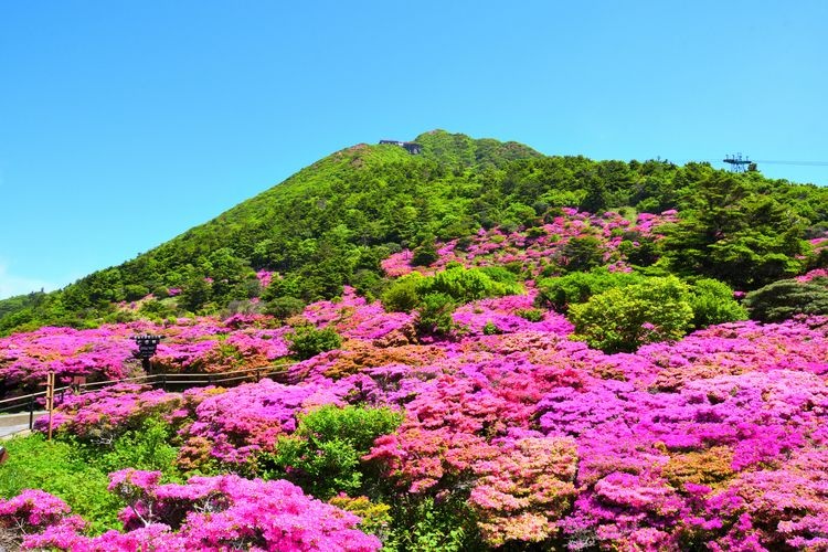 Tourist destination images of Unzen-dake (Nita-toge)(3)