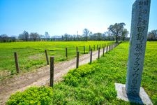 Tourist destination images of Tashimagahara Primrose Habitat (First Designated Area)(1)