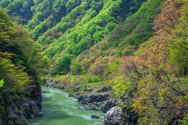 Akashikyō Gorge