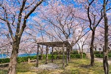 Tourist destination images of Sakaidaiba Ruins and Sakaidaiba Park(1)