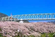 Tourist destination images of Sakaidaiba Ruins and Sakaidaiba Park(3)