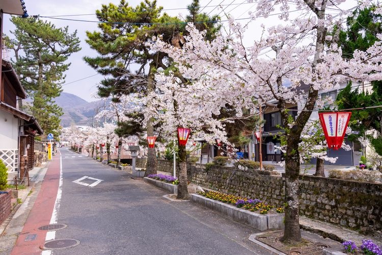 绀屋川美观地区 2