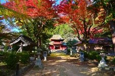 Tourist destination images of Washinomiya Hachiman-gu Shrine(2)