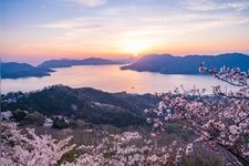 Tourist destination images of Sekizen-zan's Three Thousand Cherry Blossoms(1)