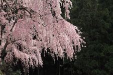 Tourist destination images of Kawai Pass(2)