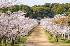 Tourist destination images of Kametsuru Park(1)