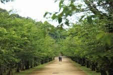 Tourist destination images of Kametsuru Park(3)