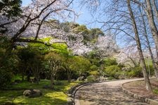 Tourist destination images of Toriryu Park(3)