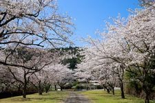 Tourist destination images of Tamai Goten(1)