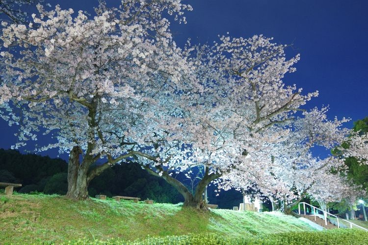 Tourist destination images of Takinomiya Park(2)