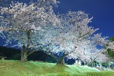 Tourist destination images of Takinomiya Park(2)