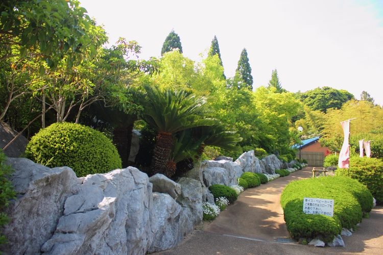 Shiranoe Botanical Garden