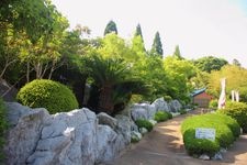 Tourist destination images of Shiranoe Botanical Garden(1)