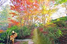 Tourist destination images of Shiranoe Botanical Garden(3)