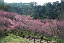 Tourist destination images of Nagojo Park(3)