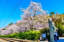 도잔 신사(陶山神社)의 관광지 사진(4)