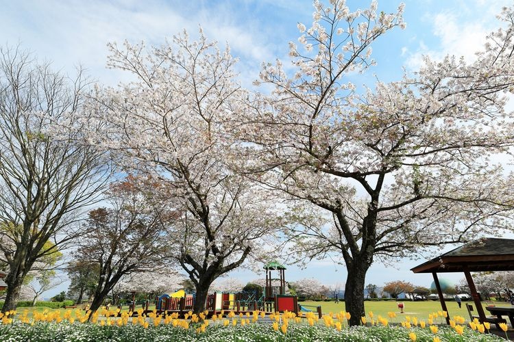 寺山休闲广场