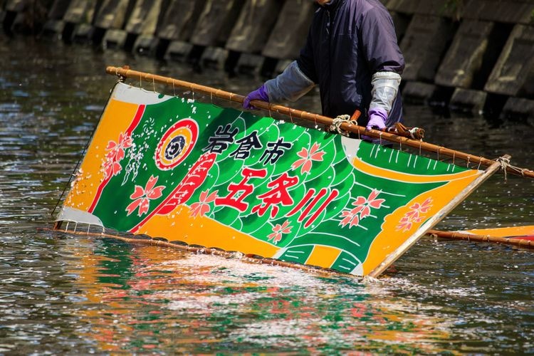 Tourist destination images of Iwaku Gojo River Cherry Blossom Trees(3)