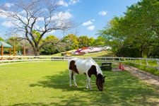 Tourist destination images of Aya Equestrian Park(1)