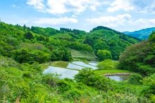Tourist destination images of Sawajiri's Rice Terraces(2)