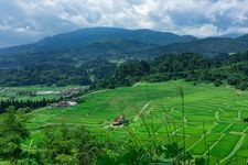 Tourist destination images of Sagarahira Rice Terraces(3)