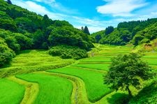 Tourist destination images of Irikyo Ishibata Rice Terraces(1)