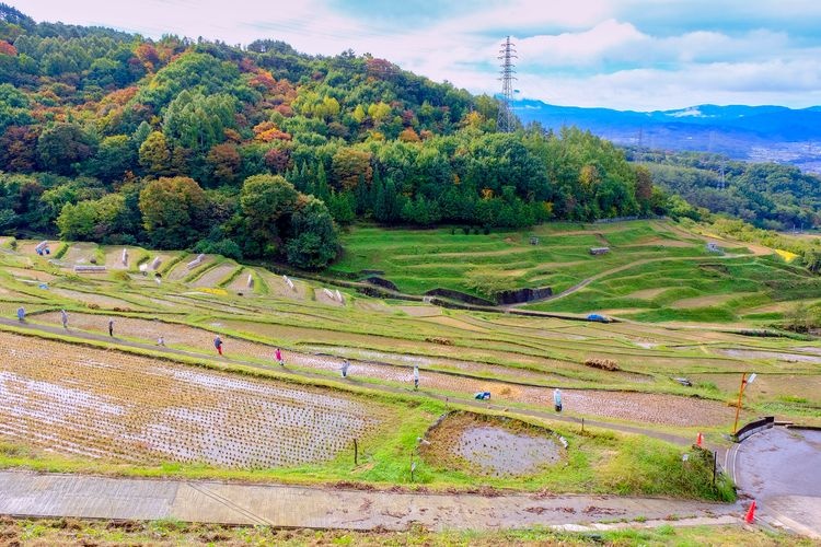 Inakura no Tanada Rice Terraces