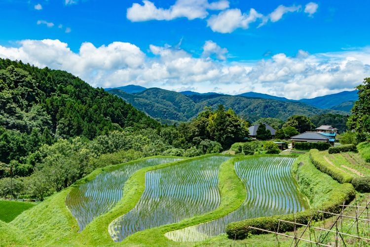 Araharano Tanada Rice Terraces