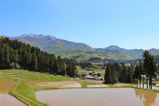 Tourist destination images of Kitaigokawa Rice Terraces(1)