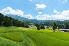 Tourist destination images of Kitaigokawa Rice Terraces(2)