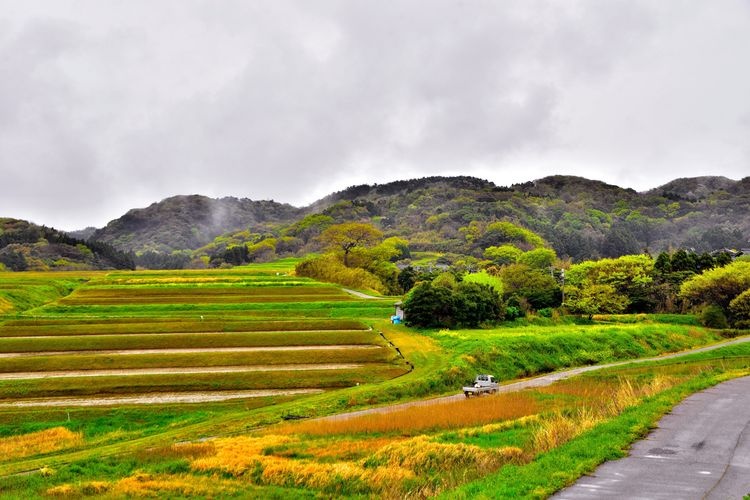 大笹波水田の観光地画像(4)