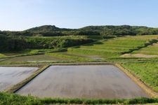大笹波水田の観光地画像(2)