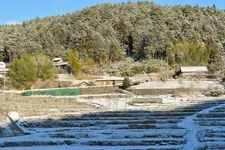 Tourist destination images of Kamoida Rice Terraces(2)