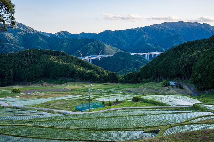 Sakamoto Tanada Rice Terraces