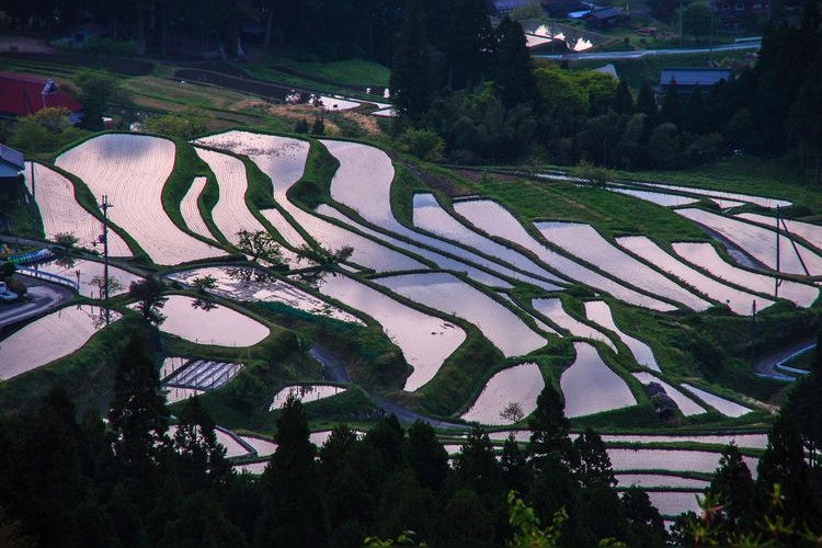 Hatano Tanada Rice Terraces