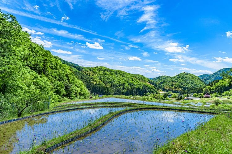 Kehara Rice Terraces