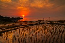 Tourist destination images of Sodeji Rice Terraces(1)