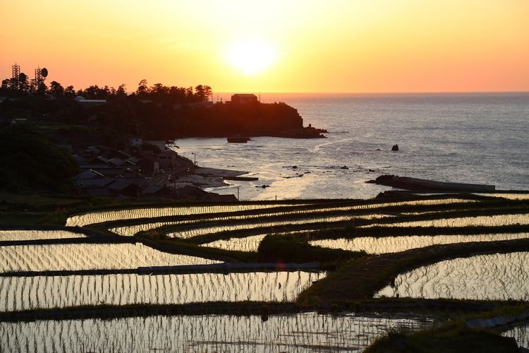 Sodeji Rice Terraces