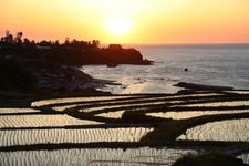 Tourist destination images of Sodeji Rice Terraces(1)