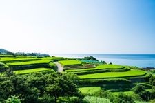 Tourist destination images of Sodeji Rice Terraces(2)