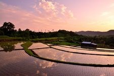 Tourist destination images of Shimoakasaka Rice Terraces(2)