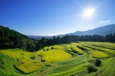 Tourist destination images of Uheyama Rice Terraces(1)