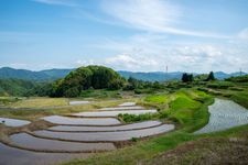 Tourist destination images of Sannoji Rice Terraces(2)