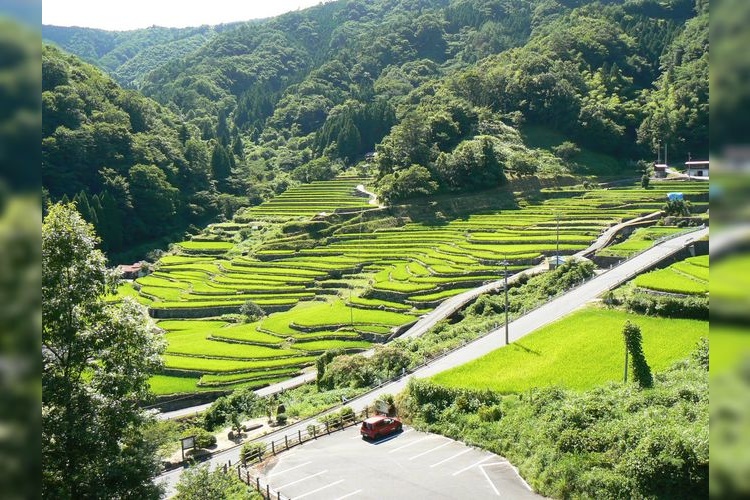 Ooidani Rice Terraces