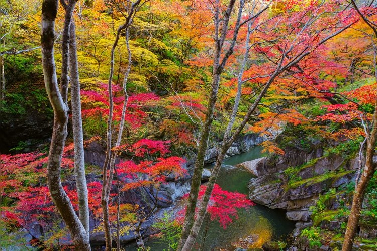 Nakazukyo Gorge