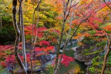 Tourist destination images of Nakazukyo Gorge(1)