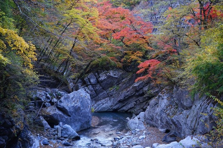 Nakazukyo Gorge